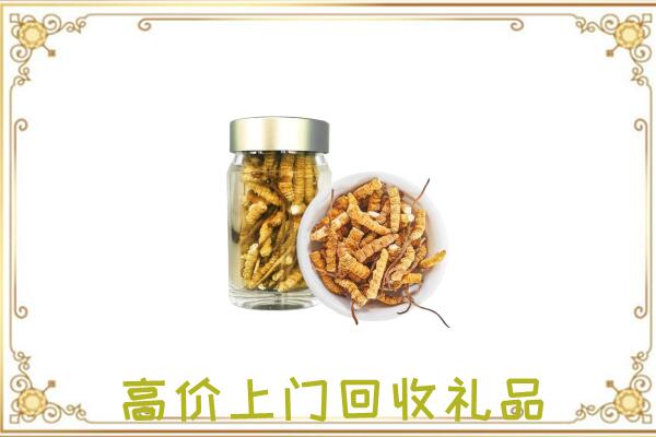 绥德周边回收虫草